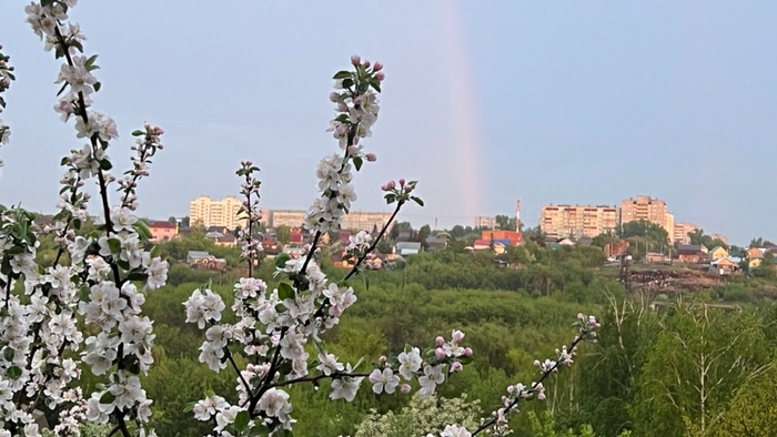 частный сектор
