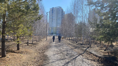 Парк 300-летия Омска - 2