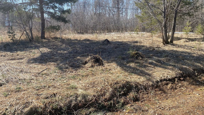 Парк 300-летия Омска - 18