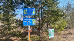 Парк 300-летия Омска - 1