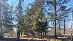 Парк 30-летия ВЛКСМ - 4