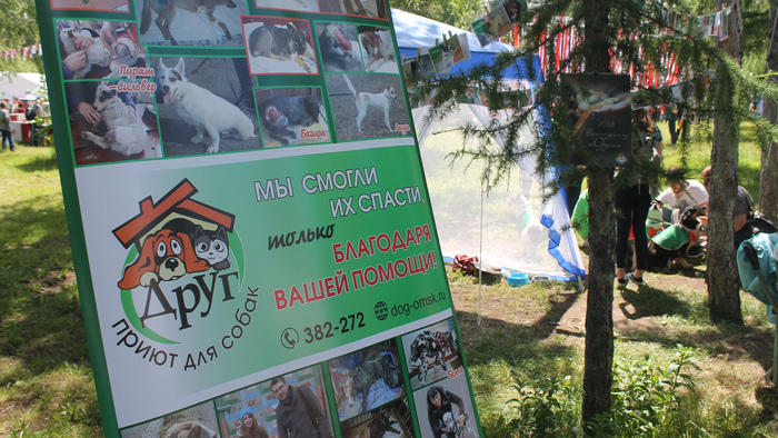 Приют для собак Друг