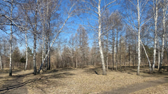 Парк 30-летия ВЛКСМ - 3