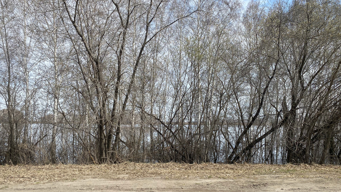 кладбище Морозовка - 13