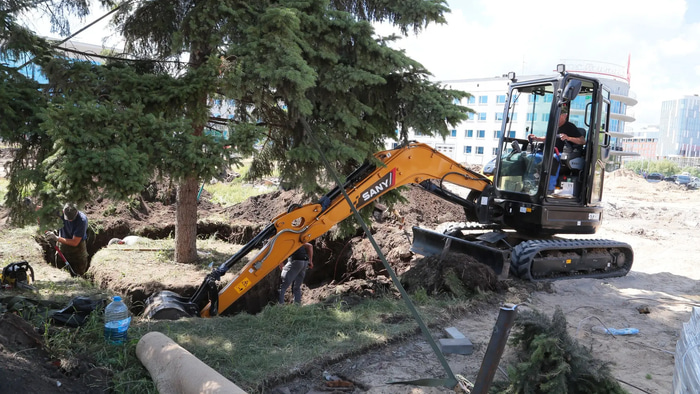 Шелест деревья