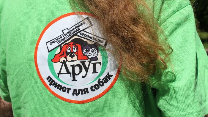Приют для собак Друг