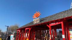 Зеленый остров  - 16