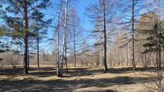 Парк 30-летия ВЛКСМ - 5