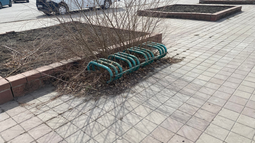 Сквер Бухгольца - 2