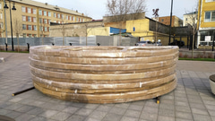 Центральный-2