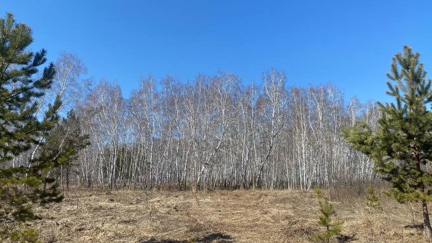 Парк 300-летия Омска - 20