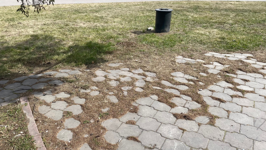 Сквер Бухгольца - 12