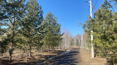 Парк 300-летия Омска - 14