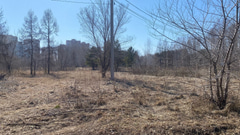 Парк 300-летия Омска - 16