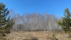 Парк 300-летия Омска - 20