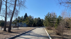 Зеленый остров  - 10