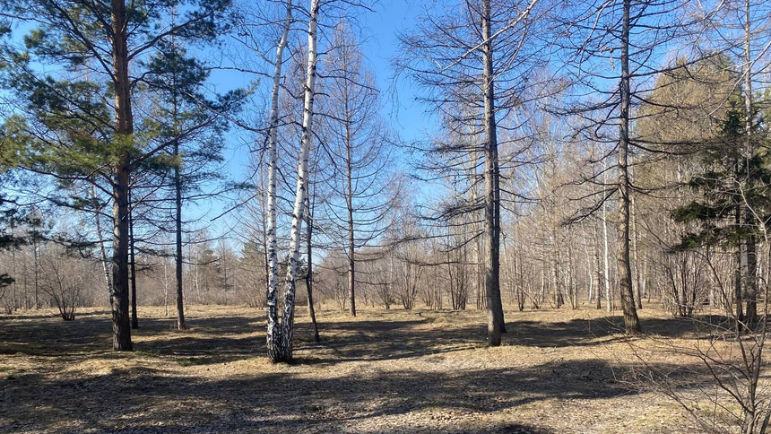 Парк 30-летия ВЛКСМ - 5