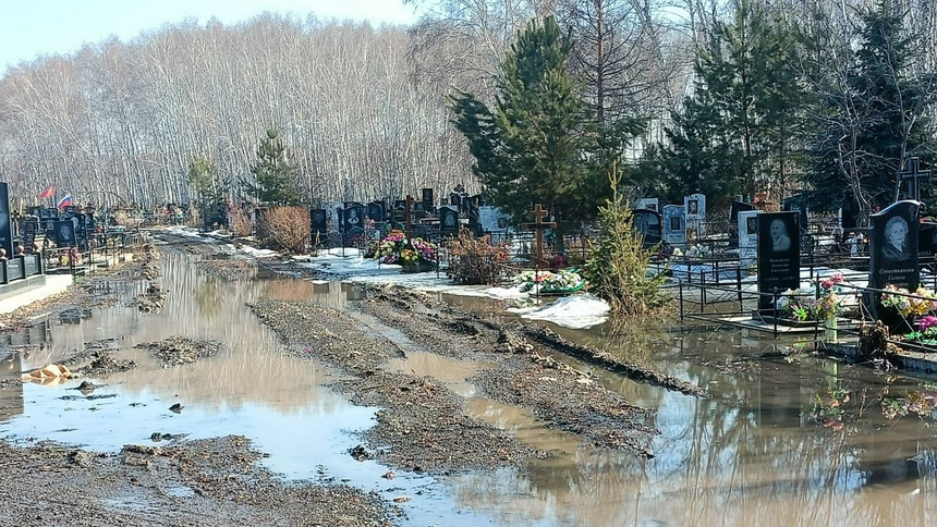 Алея на кладбище