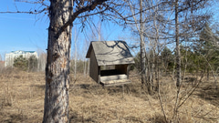 Парк 300-летия Омска - 15, кормушка для птиц
