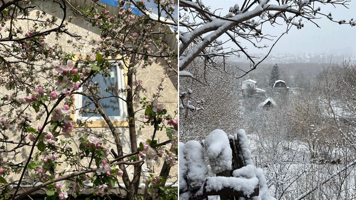 частный сектор