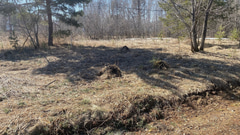 Парк 300-летия Омска - 18