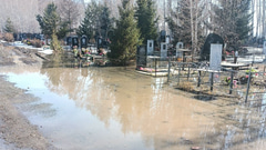 Алея на кладбище