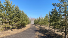 Парк 300-летия Омска - 19