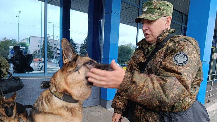 Таможня_кинолог