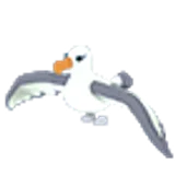 Albatross в Adopt Me