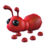 Ant в Adopt Me
