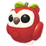 Apple Owl в Adopt Me