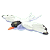 Arctic Tern в Adopt Me