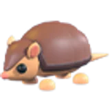 Armadillo в Adopt Me