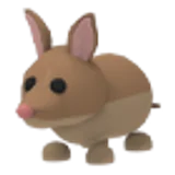 Bandicoot в Adopt Me
