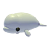 Beluga Whale в Adopt Me