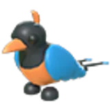 Bird of Paradise в Adopt Me