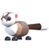 Black-Footed Ferret в Adopt Me