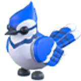 Blue Jay в Adopt Me