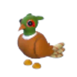 Brown-Chested Pheasant в Adopt Me