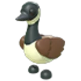 Canadian Goose в Adopt Me