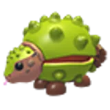 Chestnut Glyptodon в Adopt Me