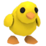 Chick в Adopt Me