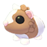 Chocolate Dutch Guinea Pig в Adopt Me