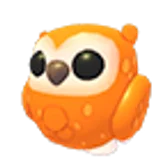 Clementine Owl в Adopt Me