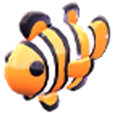 Clownfish в Adopt Me
