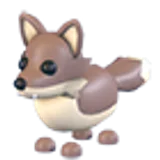 Coyote в Adopt Me