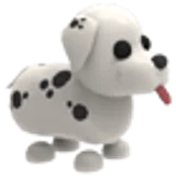 Dalmatian в Adopt Me