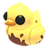 Dirty Ducky в Adopt Me