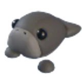 Dugong в Adopt Me