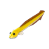 Eel в Adopt Me